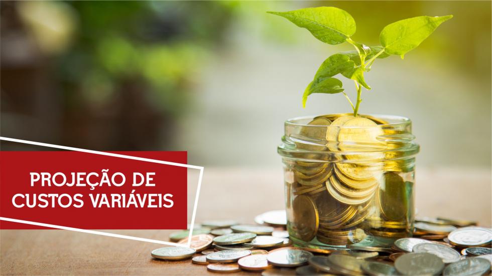 Projeção de custos variáveis Projeção de custos variáveis