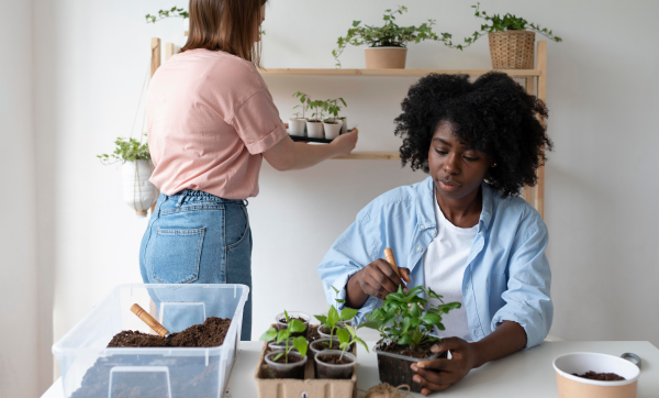 Empreendedorismo sustentável: o que é e como aplicar