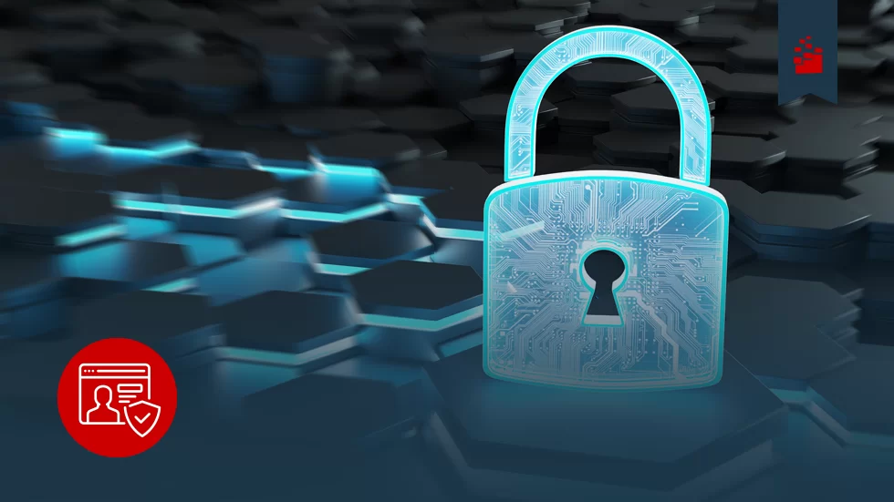 Lei LGPD em vigor: como adaptar em sua empresa? Ela foi criada em 2018 com um propósito bem claro: proteger a liberdade e a privacidade de consumidores e dos cidadãos. Ela também demanda tanto empresas como órgãos públicos, no sentido de que estes devem mudar a maneira como coletam, armazenam e usam os dados das pessoas. Lei LGPD em vigor: como adaptar em sua empresa?
