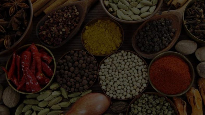 Programa Para Empresa de Alimentação