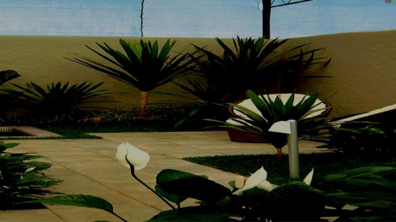 Programa para loja de jardinagem