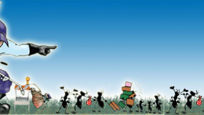 Sistema para dedetizadora