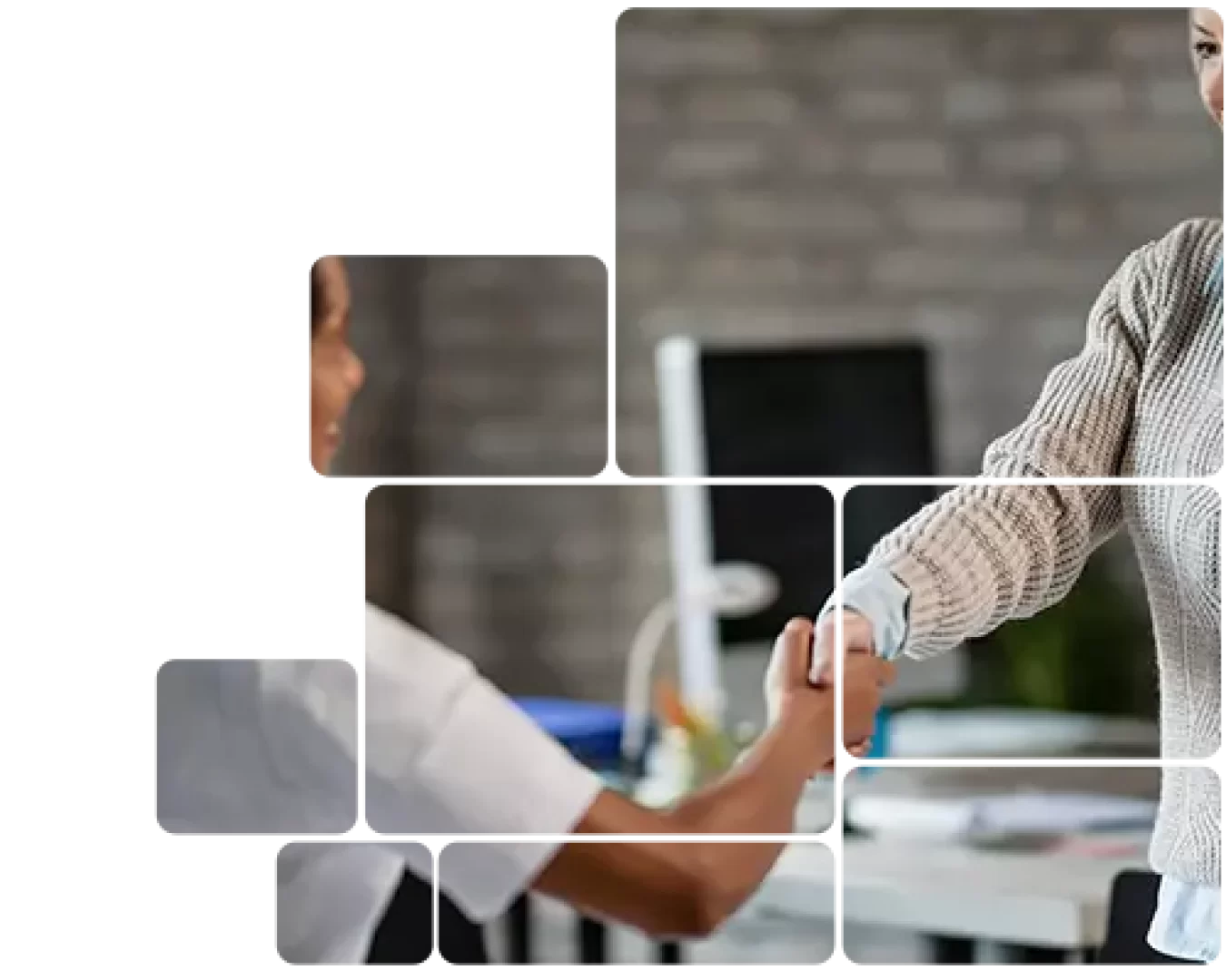 Cadastro de clientes e vendas: como usar essa base de dados!