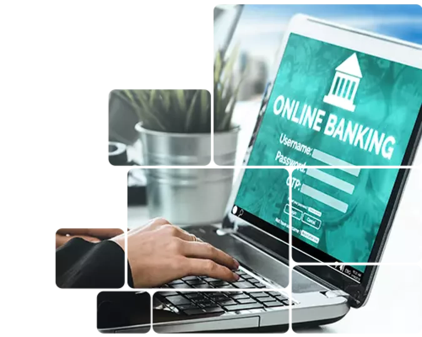 Importância do software de conciliação bancária