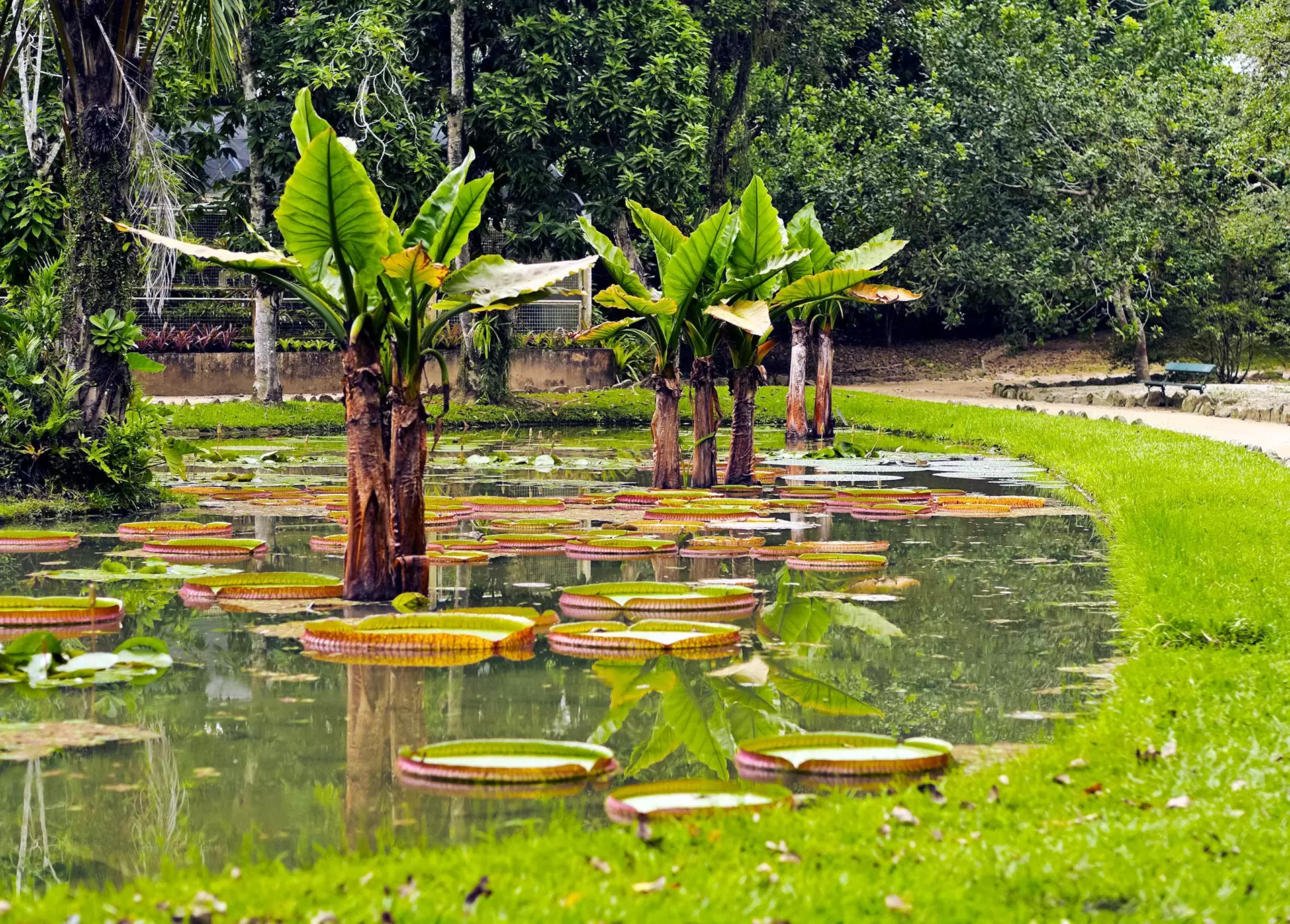 ERP Caxias do Sul