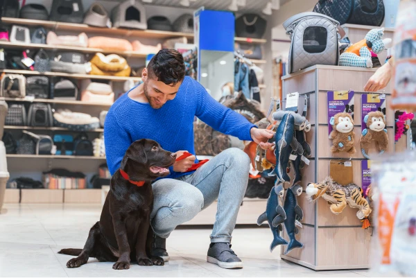 10 maiores erros na gestão de pet shop e como evitar cada um dele