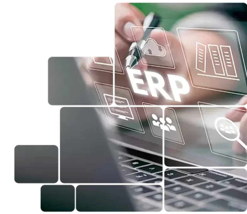 ERP Integrado com loja virtual: veja vantagens!